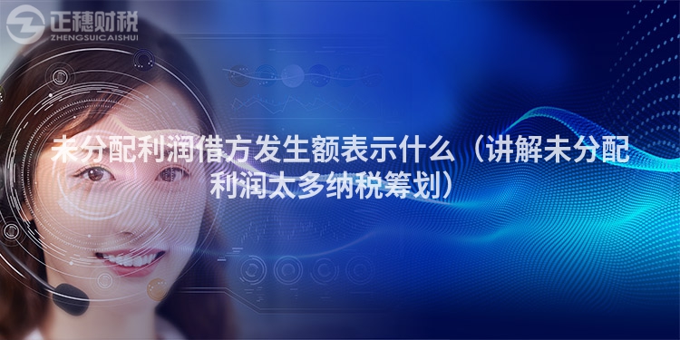 未分配利润借方发生额表示什么(讲解未分配利润太多纳税筹划)