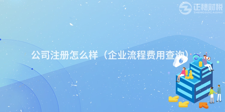 公司注册怎么样(企业流程费用查询)