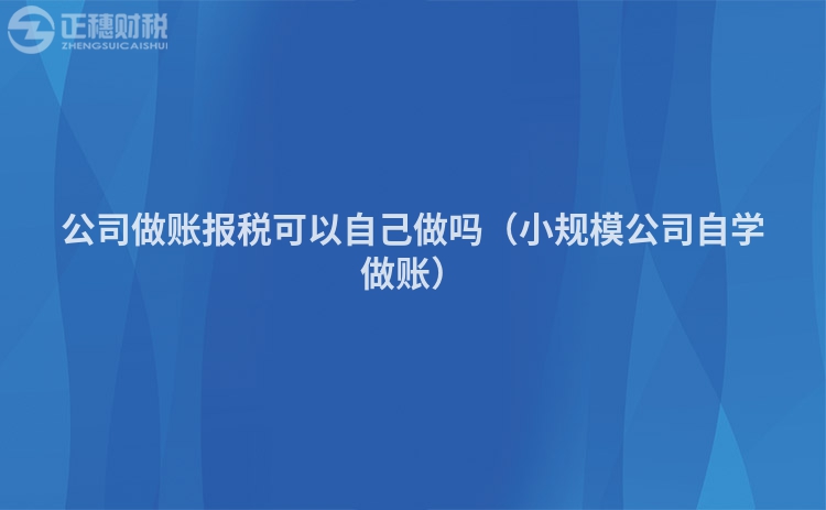 公司做账报税可以自己做吗（小规模公司自学做账）