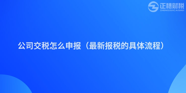 公司交税怎么申报（最新报税的具体流程）