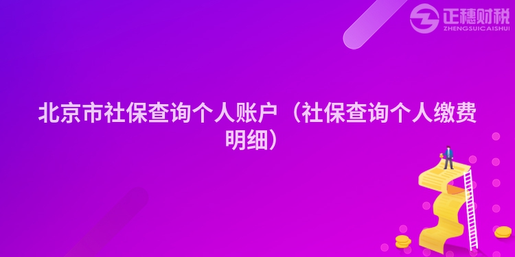 北京市社保查询个人账户（社保查询个人缴费明细）